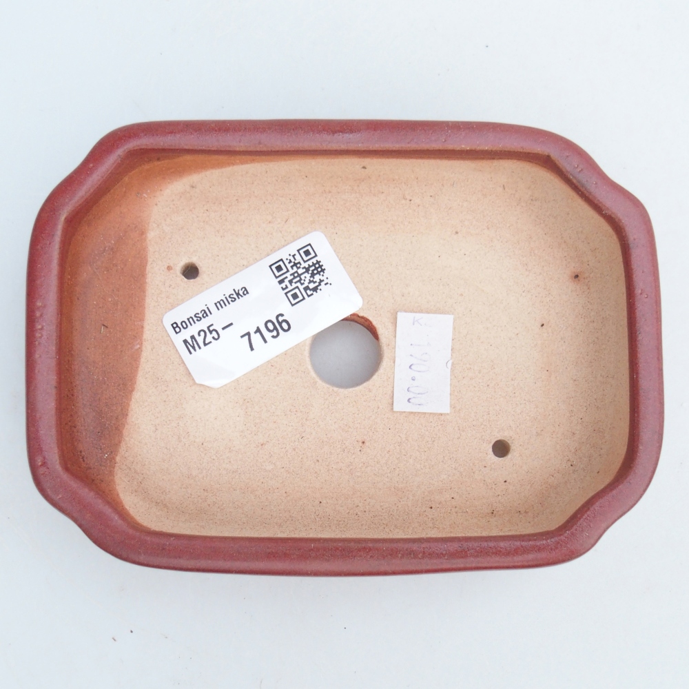 Cuenco bonsái de cerámica 13 x 9 x 3 cm, burdeos