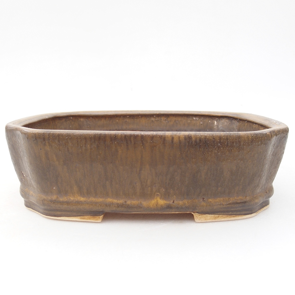 Cuenco bonsái de cerámica 17 x 14,5 x 5 cm, marrón