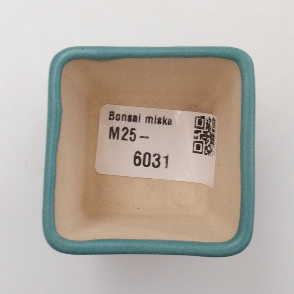 Cuenco bonsái de cerámica 6,5 x 5,5 x 4 cm, color azul