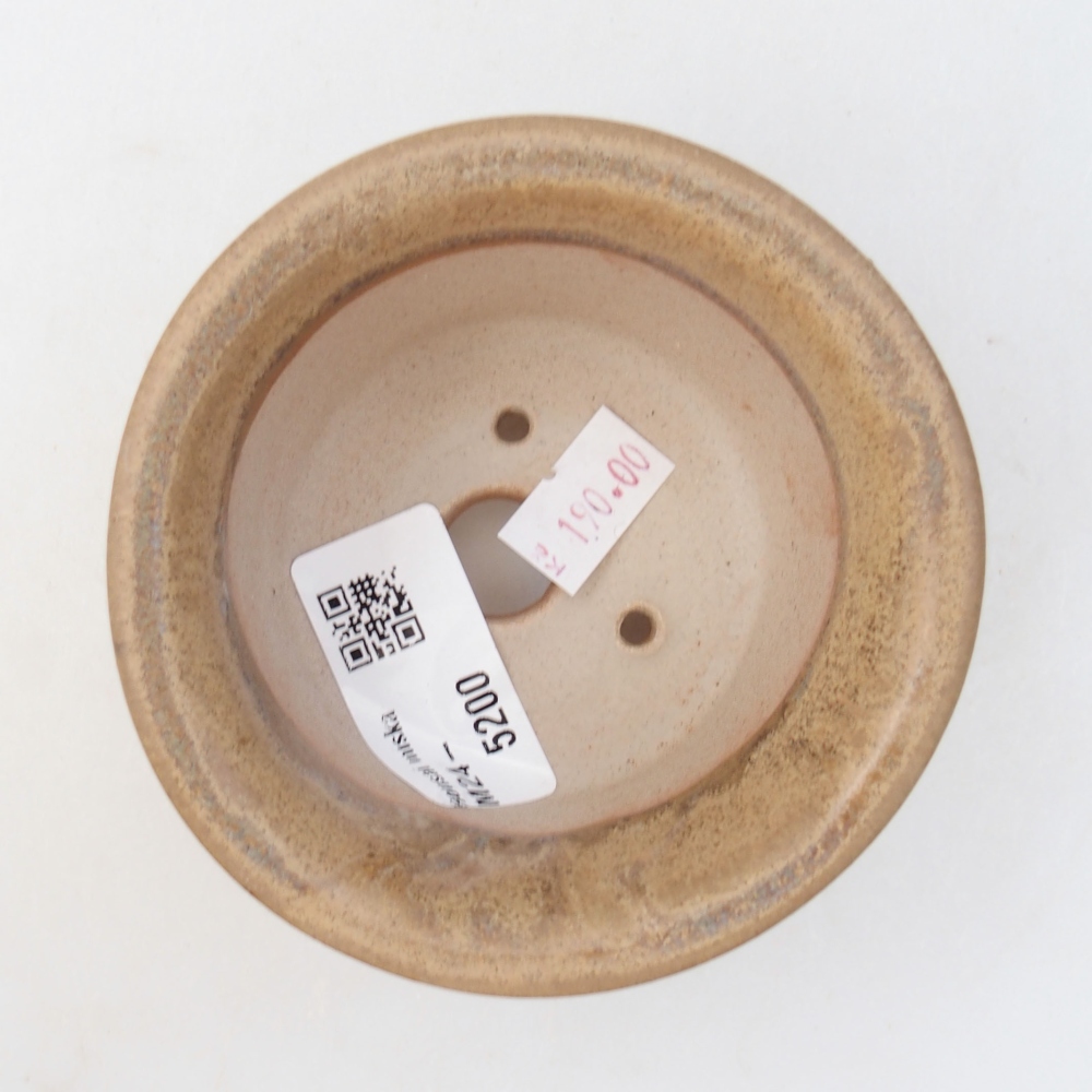 Cuenco bonsái de cerámica 9 x 9 x 5 cm, color beige