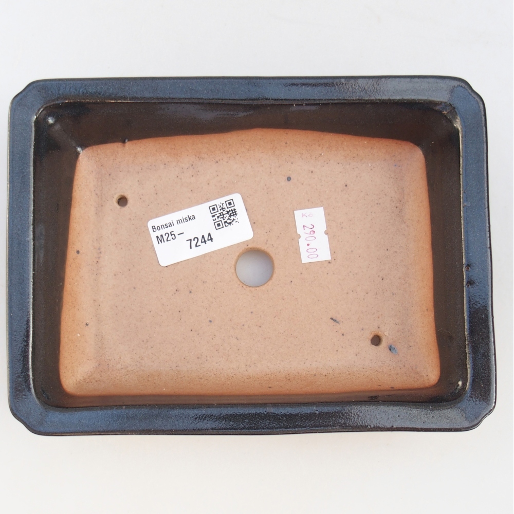 Cuenco bonsái de cerámica 18 x 13,5 x 4 cm, negro