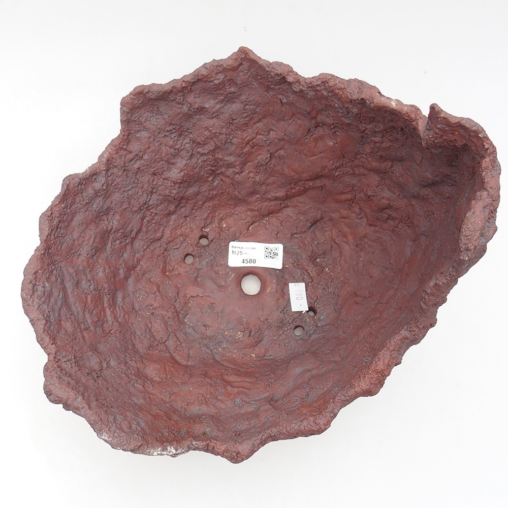 Concha de cerámica 23 x 25 x 21 cm , color marrón