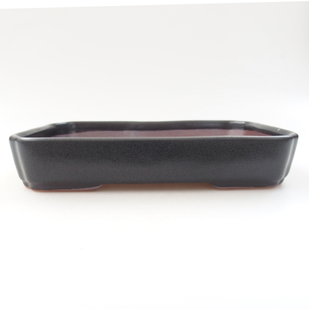 Cuenco bonsái de cerámica 22 x 17 x 5 cm, verde