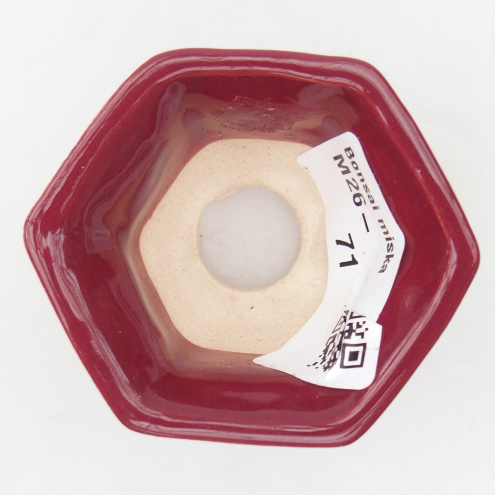 Mini cuenco bonsái 5,5 x 5 x 3 cm, burdeos