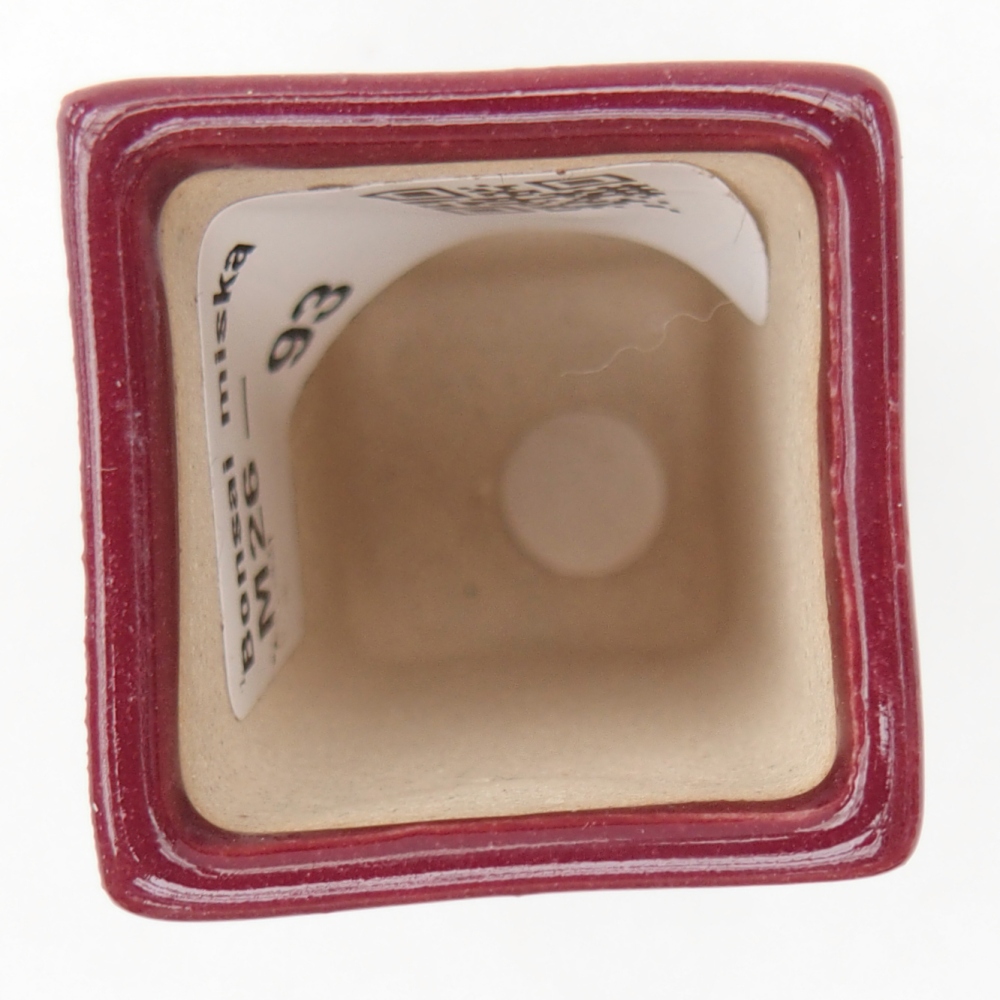 Mini cuenco bonsái 3 x 3 x 5,5 cm, burdeos