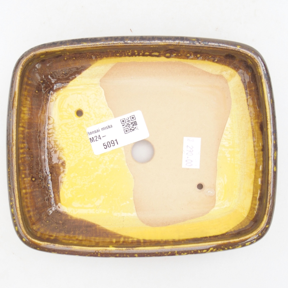 Cuenco bonsái de cerámica 17 x 14 x 3,5 cm, amarillo