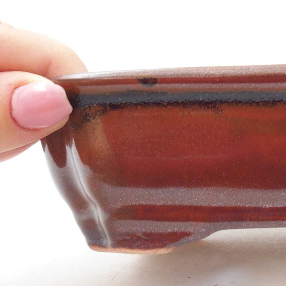 Cuenco bonsái de cerámica 16 x 12 x 5 cm, marrón