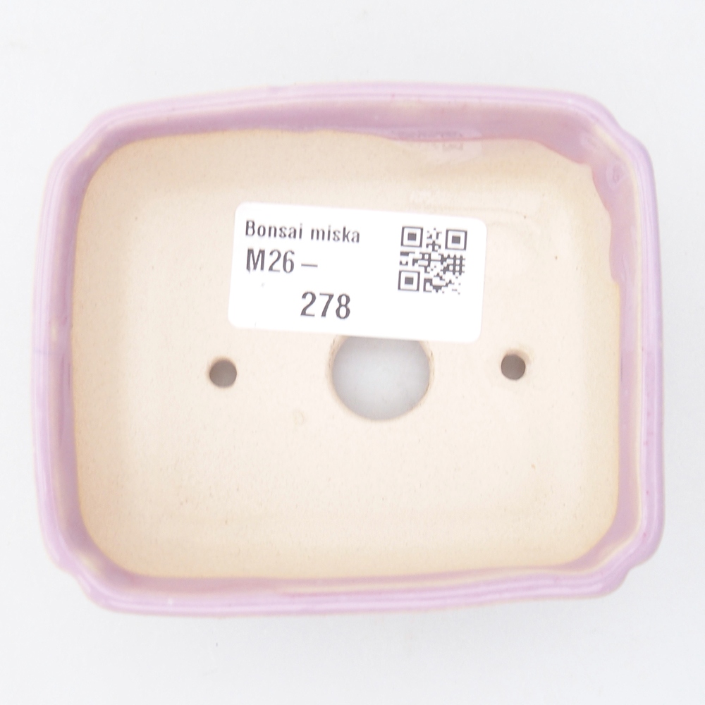 Mini cuenco bonsái 8,5 x 7,5 x 3 cm, rosa