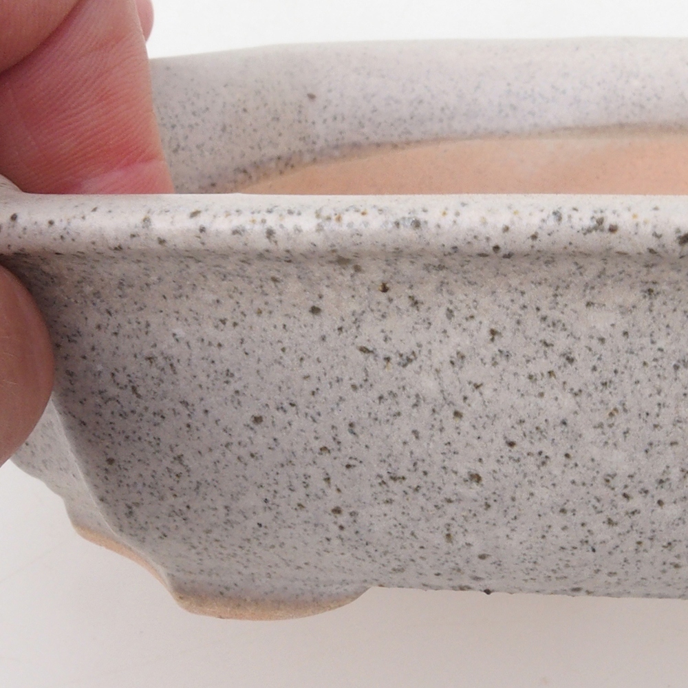 Cuenco bonsái H17 - 15 x 10 x 4 cm - beige