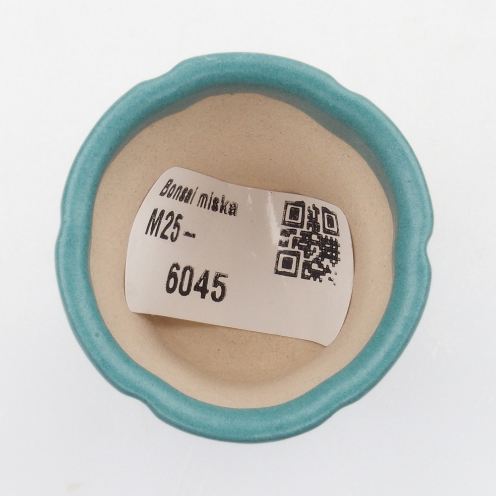 Cuenco bonsái de cerámica 6,5 x 5,5 x 4 cm, color azul