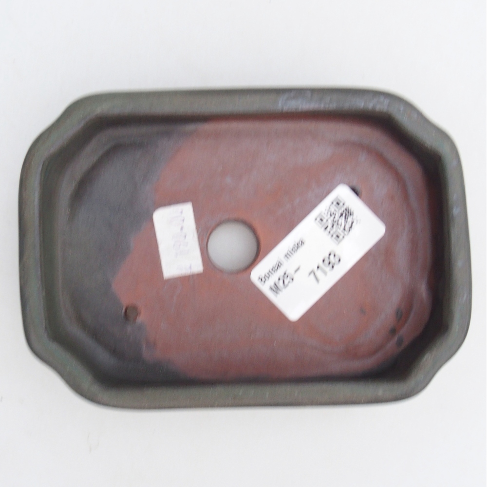 Cuenco bonsái de cerámica 13 x 9 x 3 cm, marrón