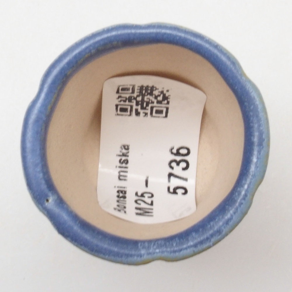 Mini cuenco bonsái 3,5 x 3,5 x 4 cm, color azul