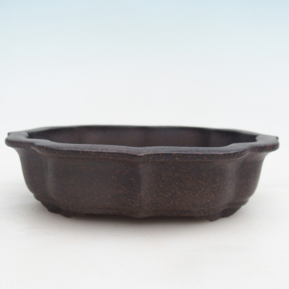 Cuenco bonsái de cerámica 16,5 x 13 x 4 cm, color ocre parduzco