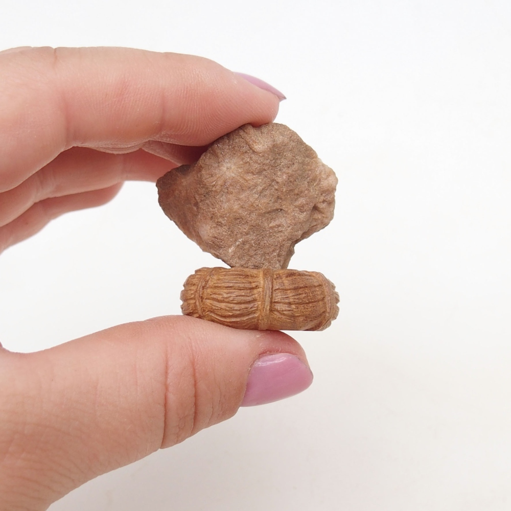 Suiseki - Piedra con DAI (base de madera)