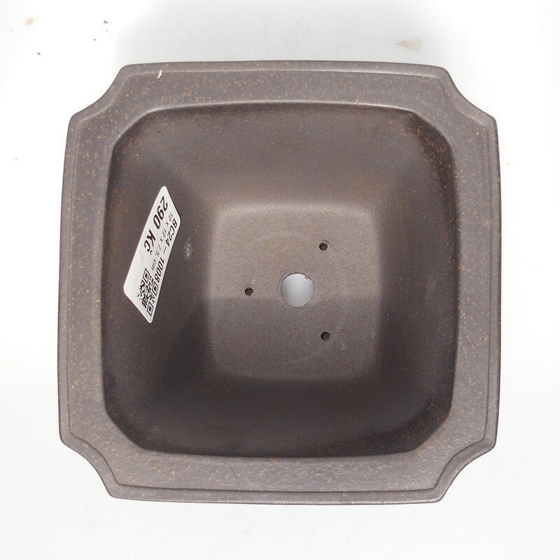 Cuenco bonsái 12 x 12 x 7,5 cm, color marrón ocre