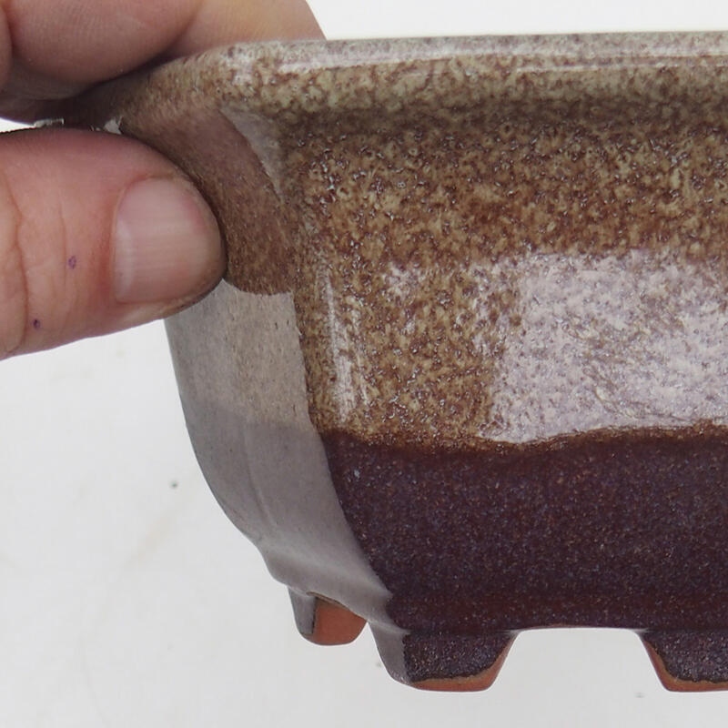 Cuenco bonsái 13 x 12 x 7 cm, color marrón burdeos