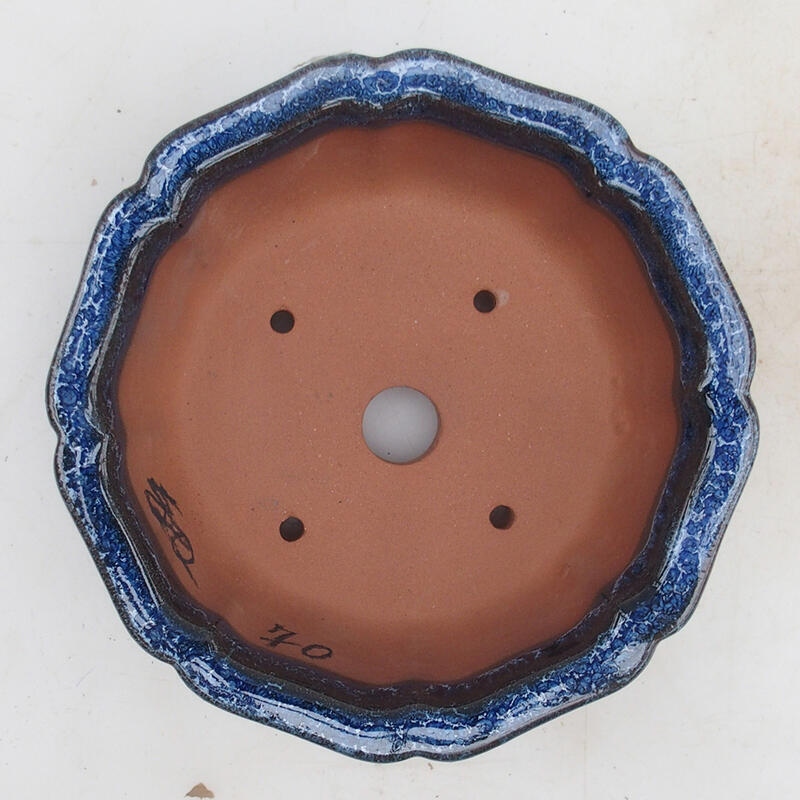 Cuenco bonsái 14 x 14 x 5,5 cm, color azul