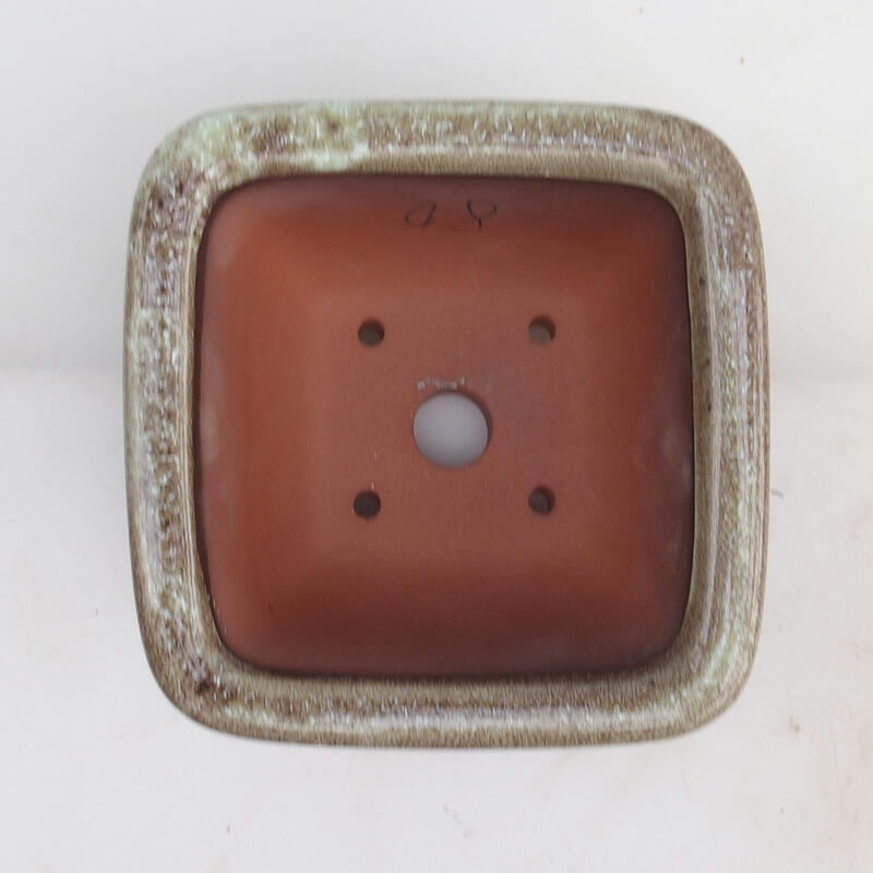 Cuenco bonsái 14 x 14 x 8 cm, color marrón burdeos