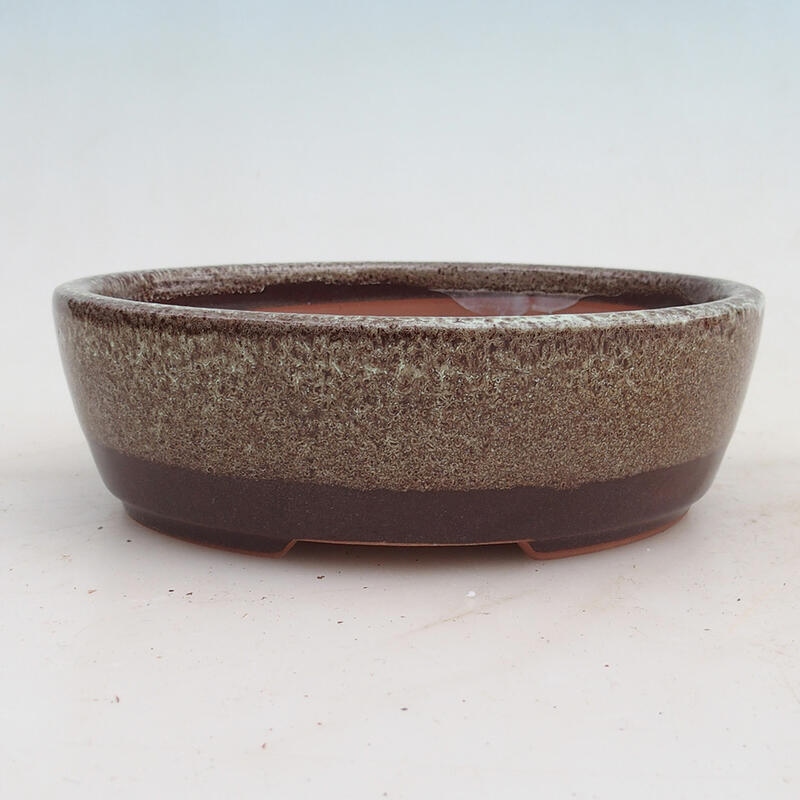 Cuenco bonsái 15,5 x 13 x 5 cm, marrón