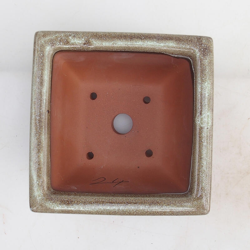 Cuenco para bonsái 15,5 x 15,8 x 8 cm, color marrón burdeos