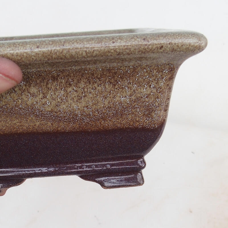 Cuenco para bonsái 15,5 x 15,8 x 8 cm, color marrón burdeos