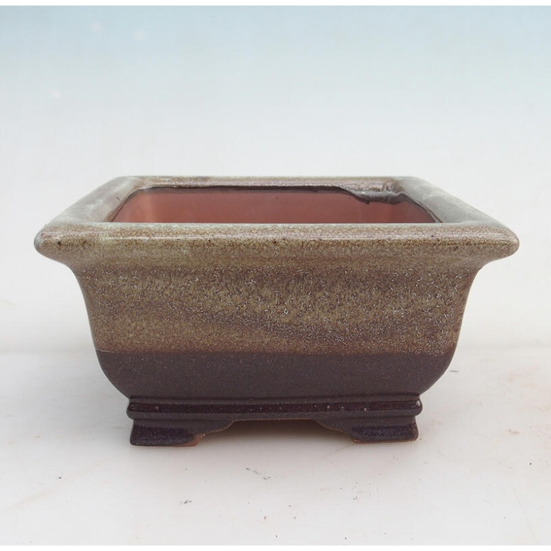 Cuenco para bonsái 15,5 x 15,8 x 8 cm, color marrón burdeos
