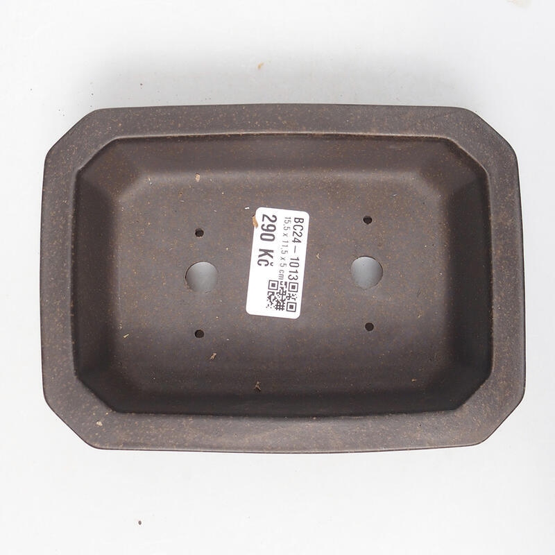 Cuenco bonsái 15 x 11 x 5 cm, color ocre parduzco