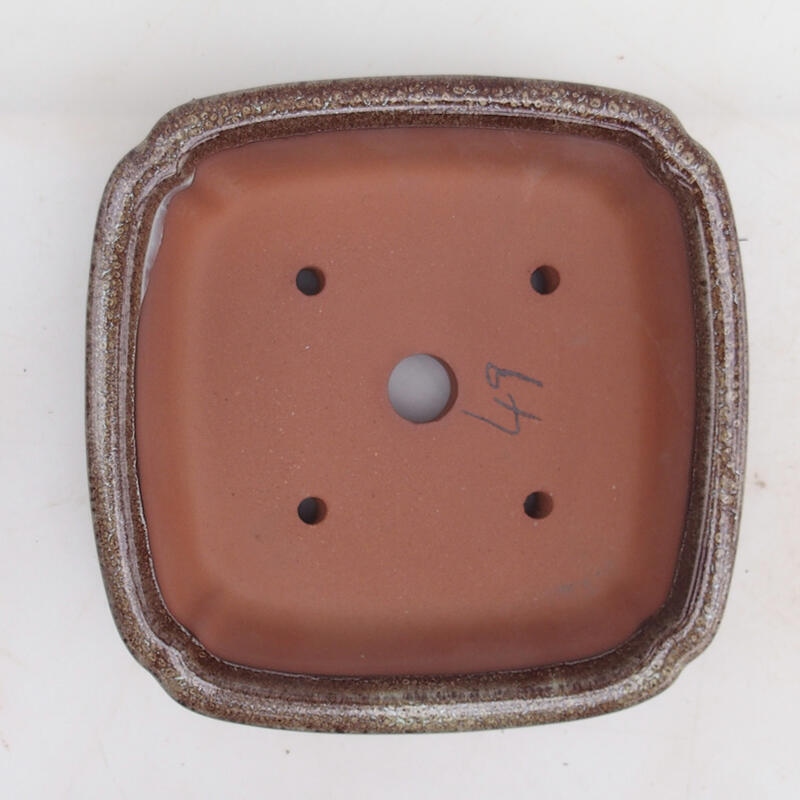 Cuenco para bonsái 15 x 15 x 4,5 cm, color marrón burdeos