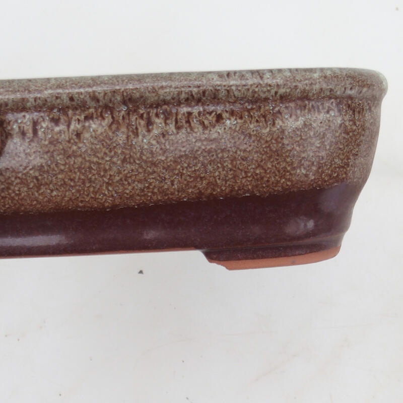 Cuenco bonsái 16,5 x 12 x 5 cm, marrón