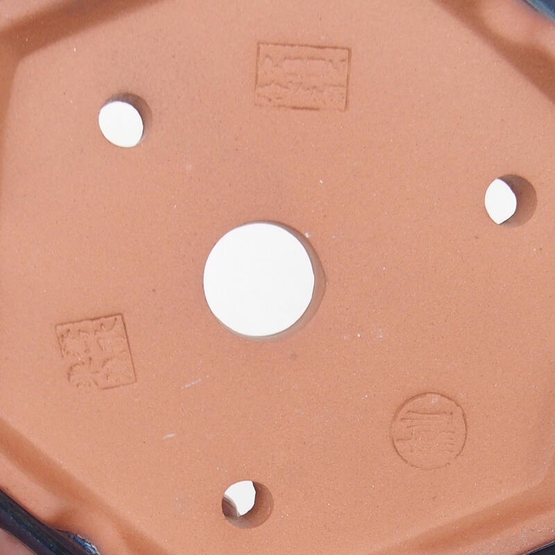 Cuenco bonsái 16 x 14 x 5 cm, color azul