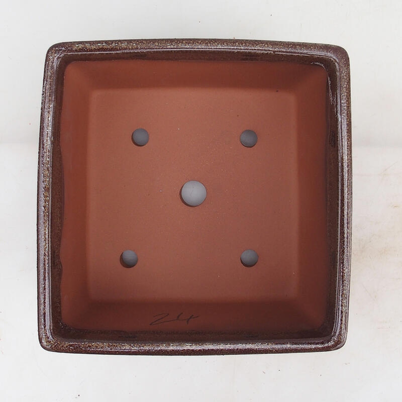 Cuenco para bonsái 19,5 x 19,5 x 10 cm, color marrón