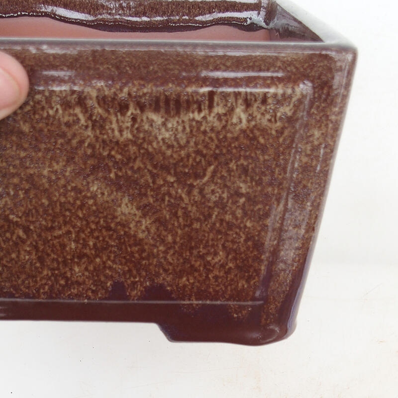 Cuenco para bonsái 19,5 x 19,5 x 10 cm, color marrón