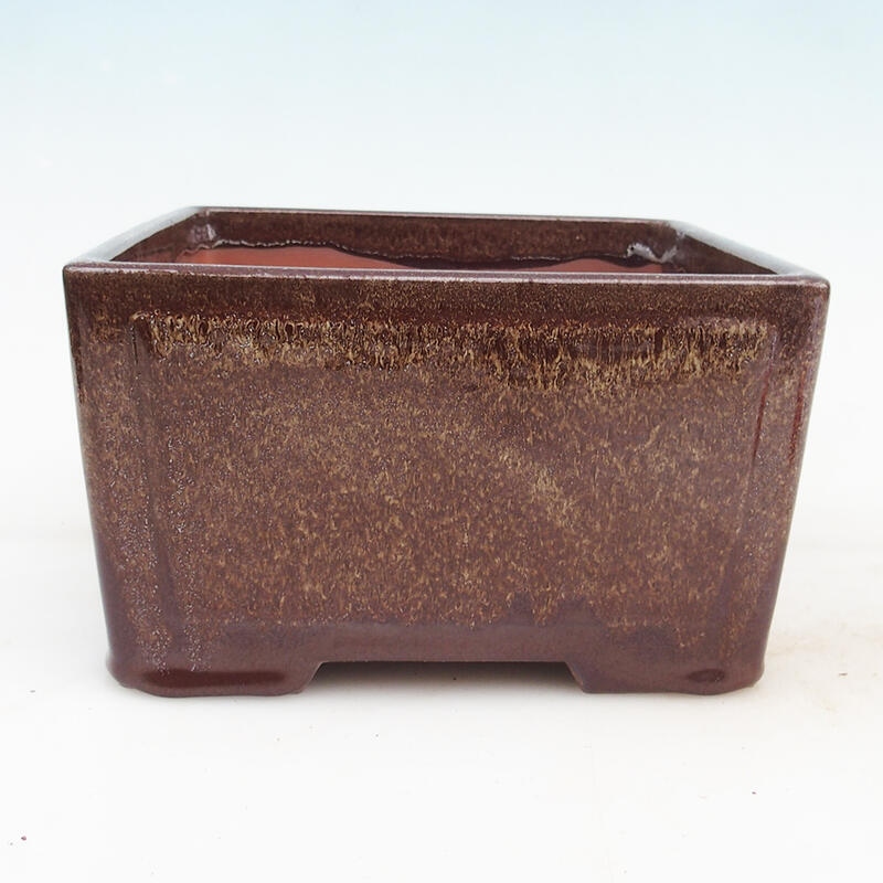 Cuenco para bonsái 19,5 x 19,5 x 10 cm, color marrón