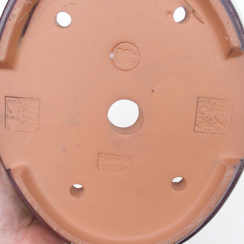 Cuenco para bonsái 20,5 x 17 x 6 cm, color marrón burdeos