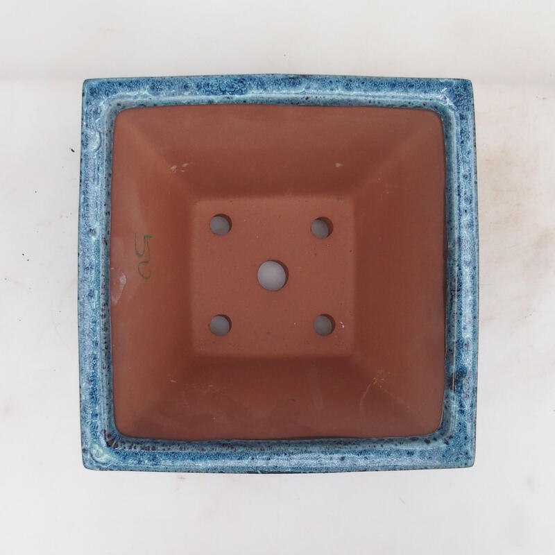 Cuenco bonsái 20,5 x 20,5 x 15 cm, color azul