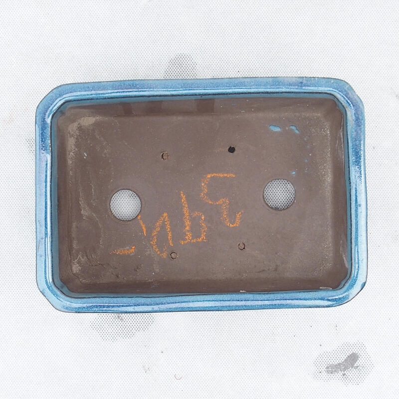 Cuenco bonsái 20 x 14 x 6,5 cm, color azul