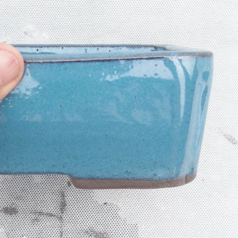 Cuenco bonsái 20 x 14 x 6,5 cm, color azul