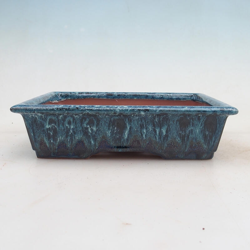 Cuenco bonsái 21,5 x 16 x 5 cm, color azul-blanco