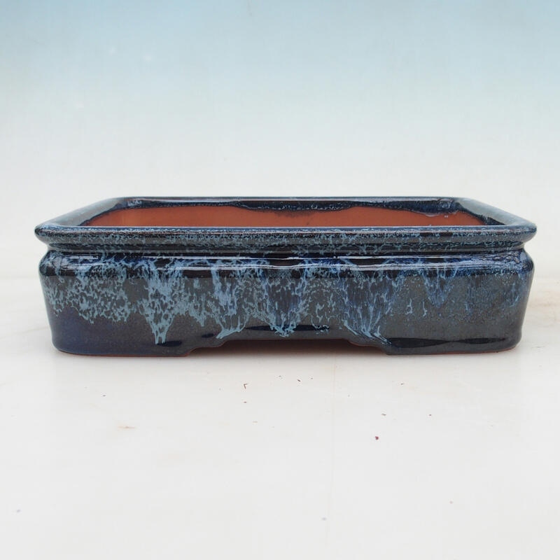 Cuenco bonsái 21,5 x 17 x 5,5 cm, color azul-blanco