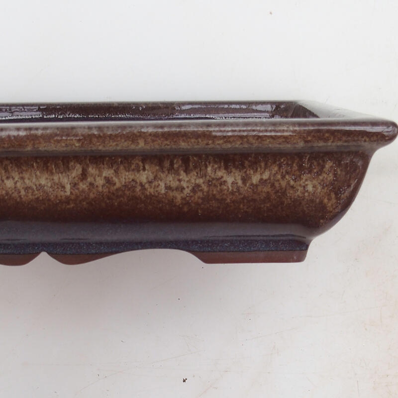 Cuenco bonsái 21 x 16,5 x 4,5 cm, marrón