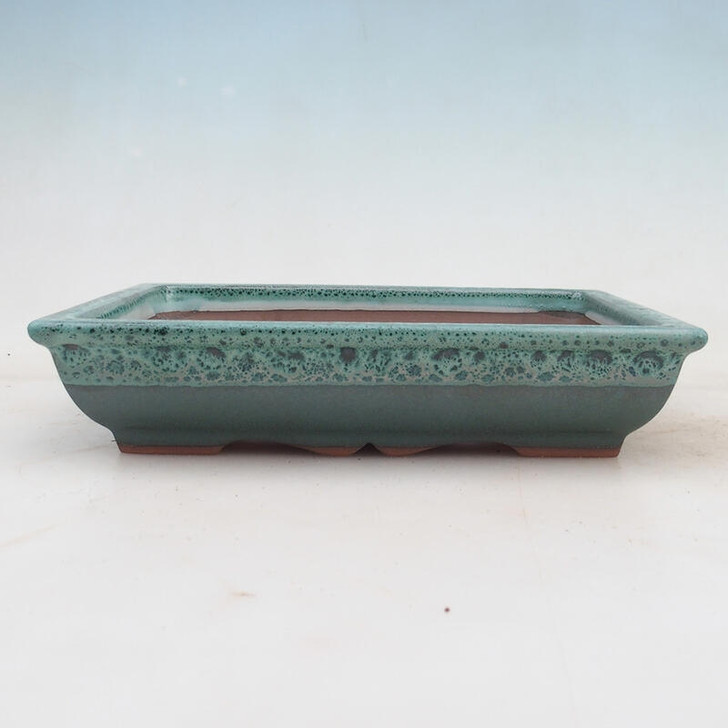 Cuenco bonsái 21 x 16,5 x 4,5 cm, verde