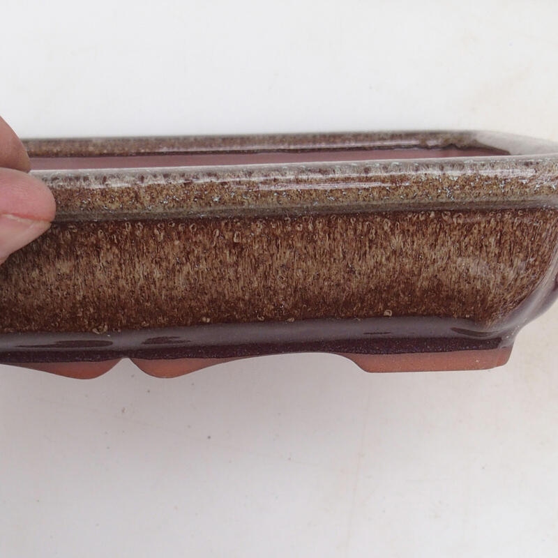 Cuenco bonsái 21 x 16 x 4,5 cm, marrón