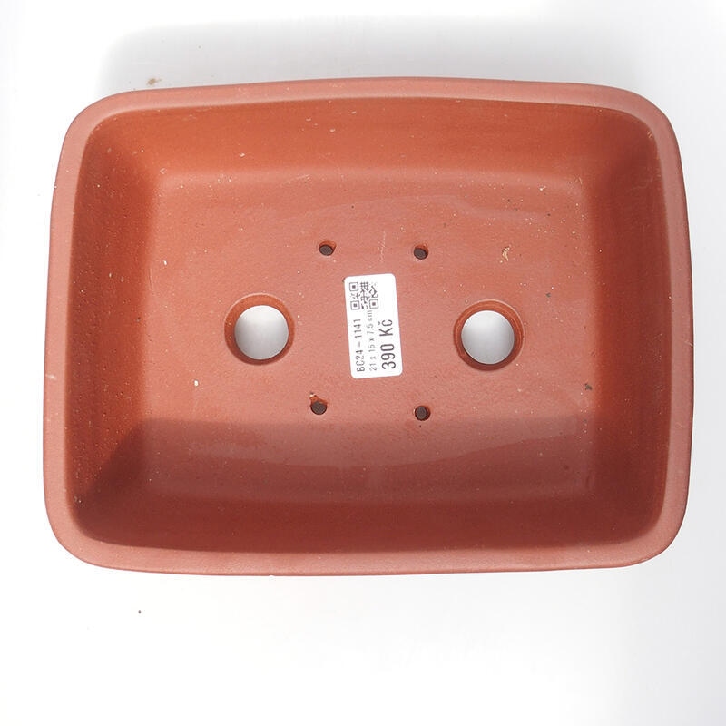 Cuenco bonsái 21 x 16 x 7,5 cm, color teja