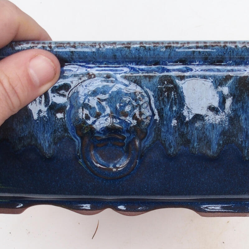 Cuenco bonsái 21 x 21 x 9 cm, color azul