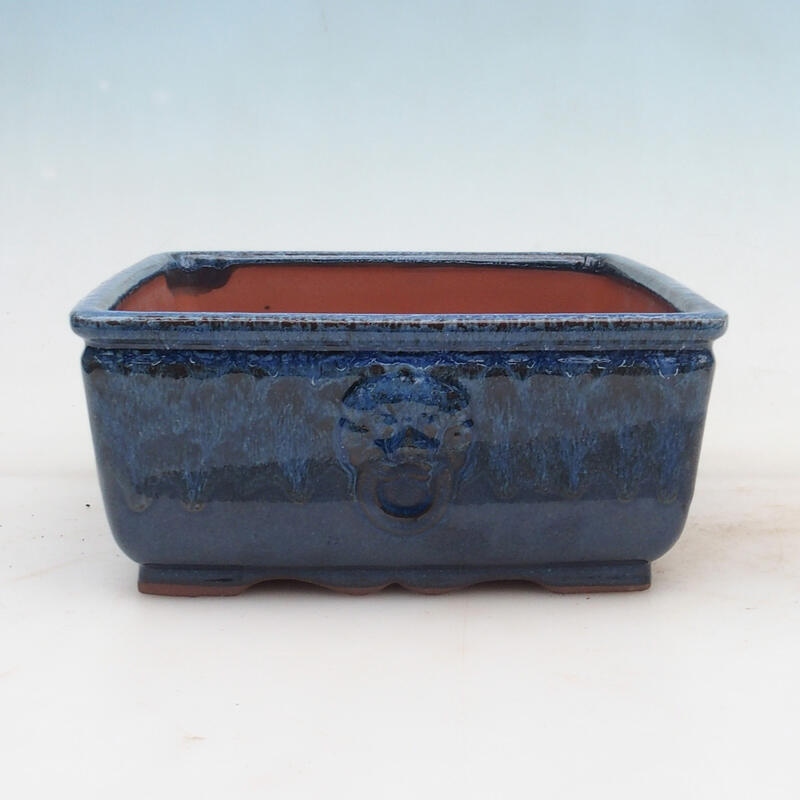 Cuenco bonsái 21 x 21 x 9 cm, color azul