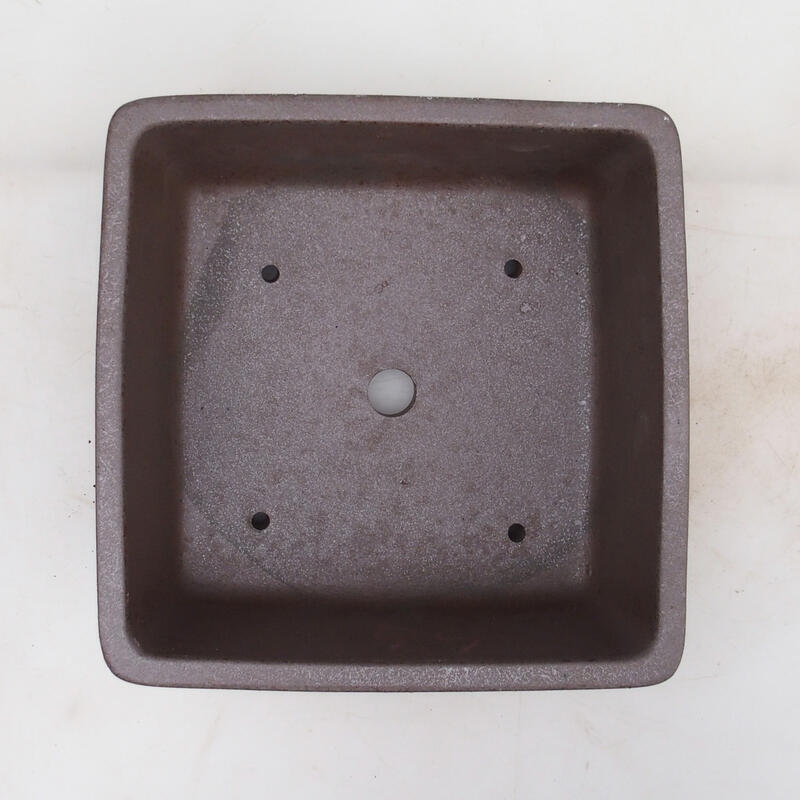 Cuenco bonsái 21 x 21 x 9 cm, color natural