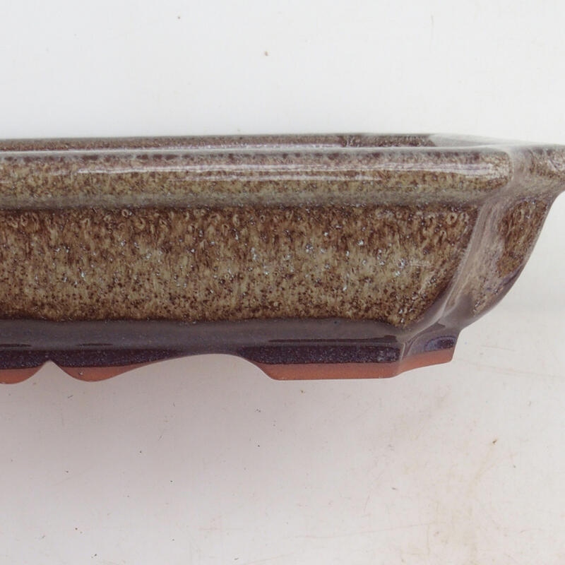 Cuenco bonsái 22 x 16,5 x 4 cm, marrón