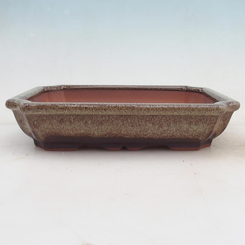 Cuenco bonsái 22 x 16,5 x 4 cm, marrón