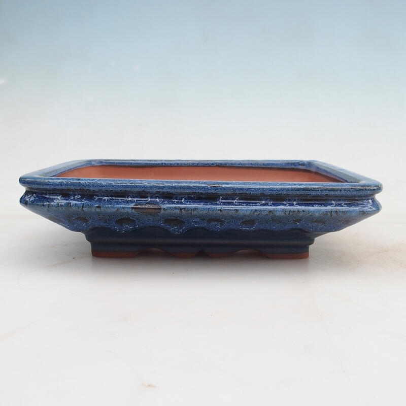 Cuenco bonsái 22 x 17 x 5,5 cm, color azul