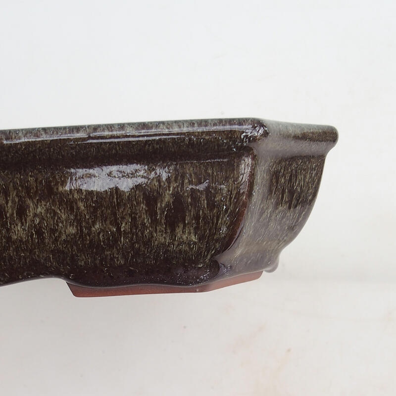 Cuenco bonsái 23 x 17,5 x 4,5 cm, marrón